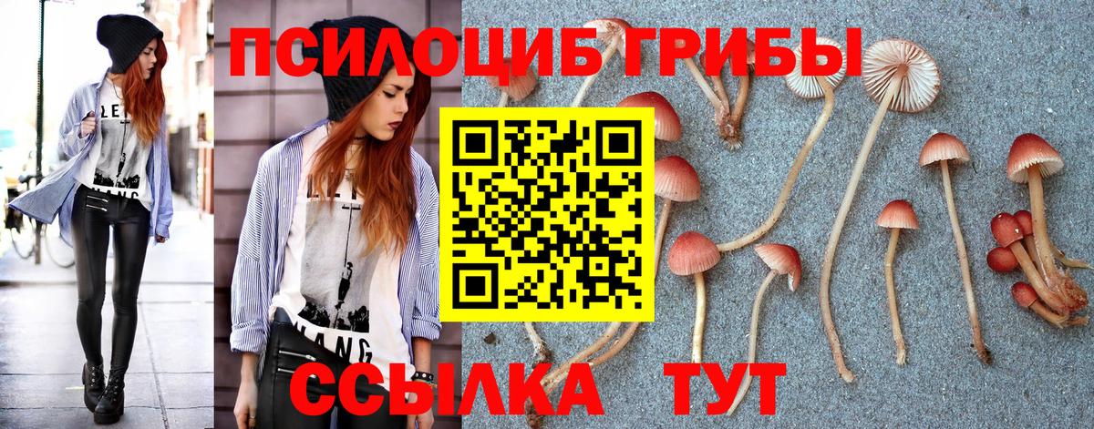 Елец  Галлюциногенные грибы Magic Shrooms  Вход с VPN  купить   Псилоцибиновые грибы Psilocybine cubensis 